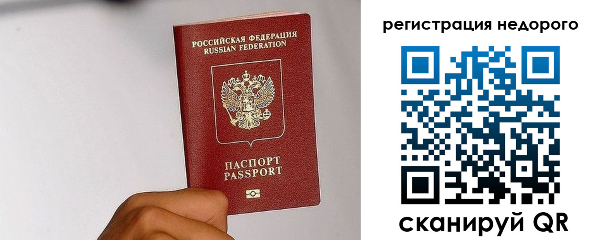 прописка 2025 в Мончегорске