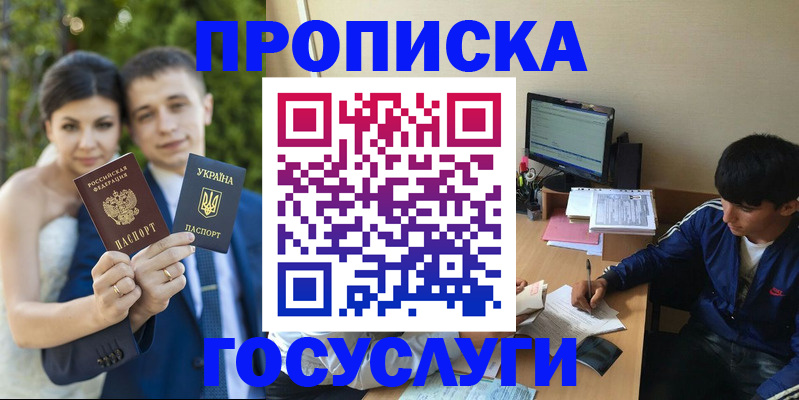 временная регистрация в Мончегорске